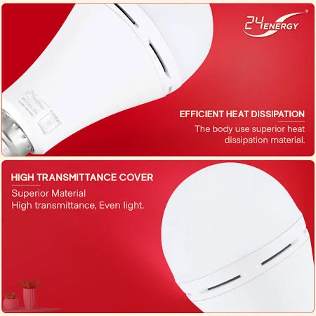 Led Inverter Bulb